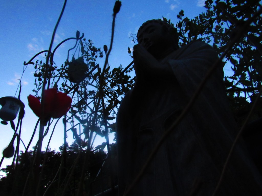 Moving in the way of the Spiral