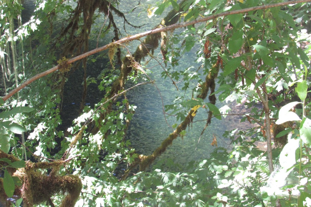 Evening Rides & Water Locales – Photography Archive&nbsp;#1